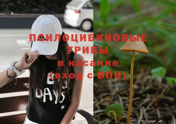 прущая мука Алексин