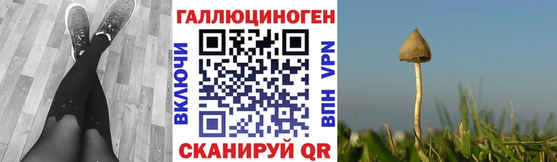 мега рабочий сайт  Зея  Галлюциногенные грибы GOLDEN TEACHER 